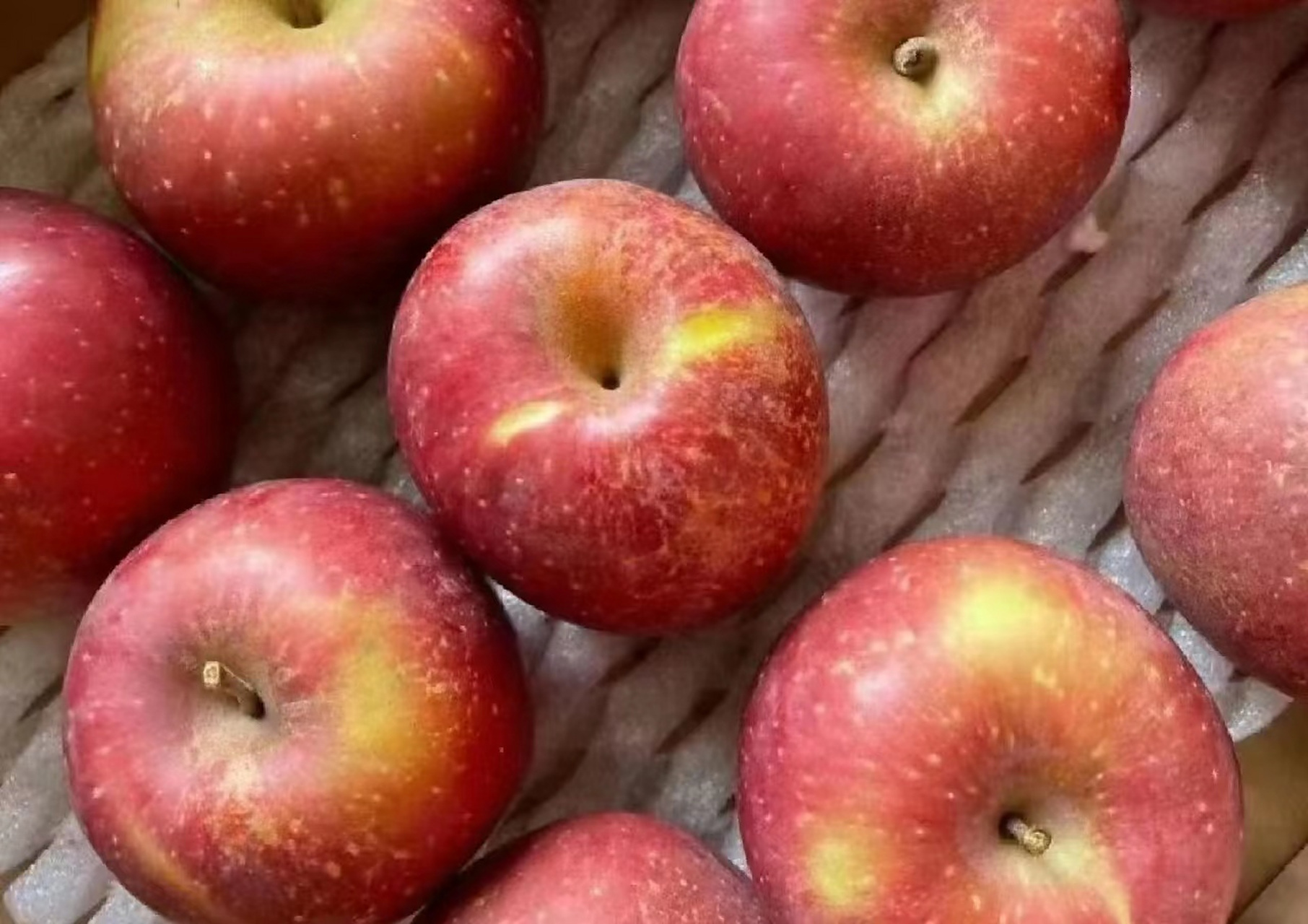 相声版苹果(相声最全的app)-第4张图片-QuickQ官网