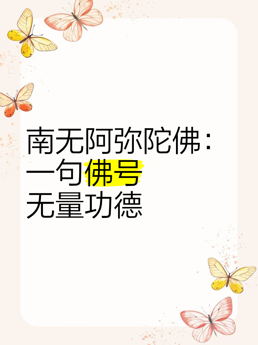 佛弟子佛号播放器手机版(佛弟子播放器手机版下载安装)