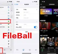 nplayer苹果版破解版(nplayer下载功能怎么用)-第2张图片-QuickQ官网