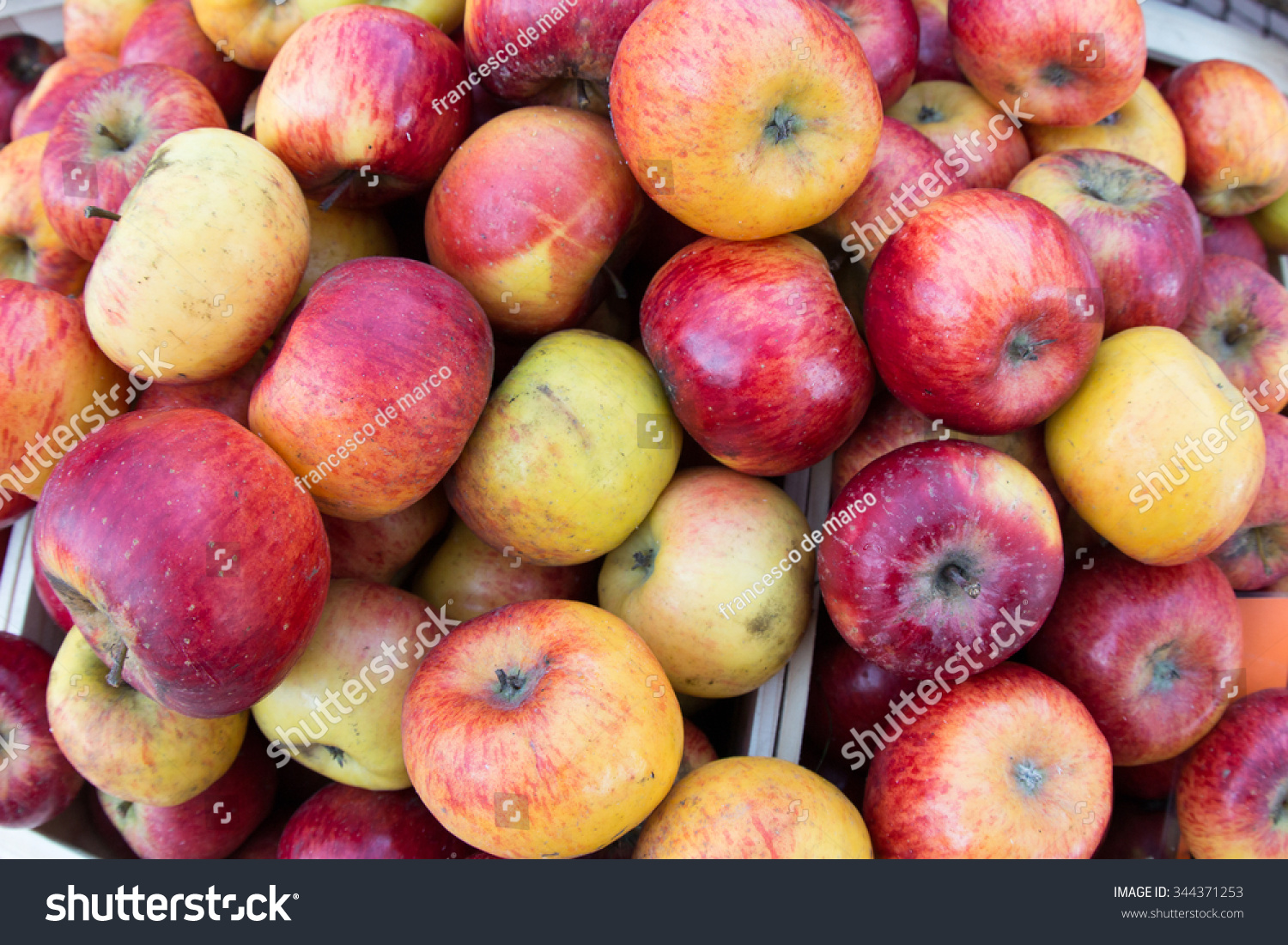 fruit苹果版(ifruits苹果版下载)